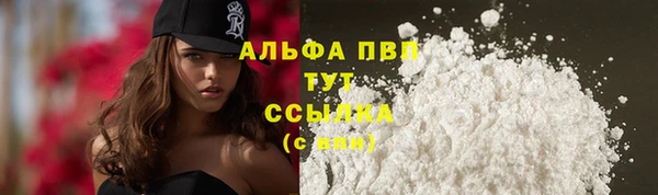 прущие крисы Заводоуковск
