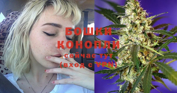 прущие крисы Заводоуковск